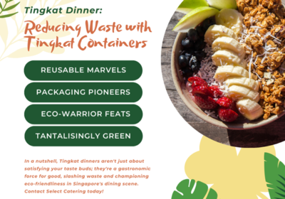 Tingkat Dinner: Reducing Waste with Tingkat Containers