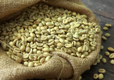 The Ultimate Playbook for Choosing Top-Notch Wholesale Green Coffee Beans for Your Business